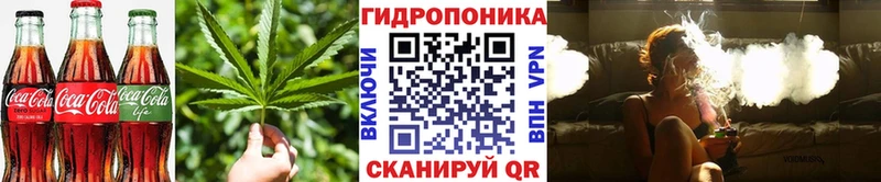 мориарти как зайти  Стрежевой  Печенье с ТГК конопля  mega tor 