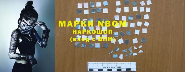 молекула духа Новозыбков